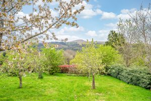 Orchard and Views- click for photo gallery